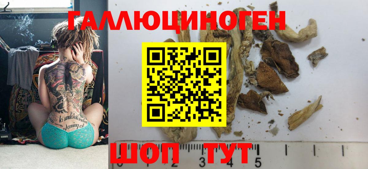 Псилоцибиновые грибы Psilocybine cubensis  Вход с VPN  Галлюциногенные грибы Magic Shrooms  Красногорск 